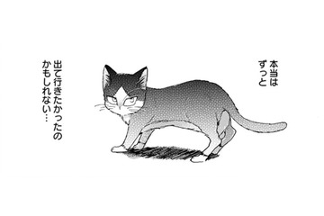 「出て行ったのは猫の意思」だけど、事故にあった両親を思い出して… もう後悔したくない!!【同居人はひざ、時々、頭のうえ。 #47】 画像