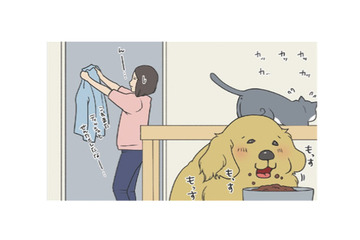 ごはんより安否確認？食事そっちのけで様子を見にくる愛犬がカワイイ【おさんぽですし！　おしゃべり犬とイライラ猫の日記 #10】 画像