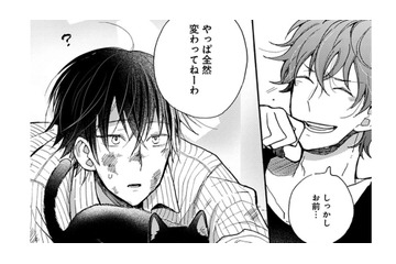 待っているものは違うけれど、帰りたいと願う場所がそれぞれにある。人間たちにも …猫にも【同居人はひざ、時々、頭のうえ。 #50】 画像