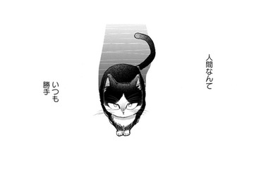 【猫視点】せっかく守ってあげてたのに、急に扉を締められた！ やっぱり私の居場所じゃなかった!!【同居人はひざ、時々、頭のうえ。 #51】 画像