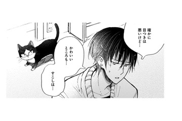 【猫視点】私の役目、わかってるから!! あなたをちゃんと守ってあげるから、安心しなさいよねっ！【同居人はひざ、時々、頭のうえ。 #54】 画像