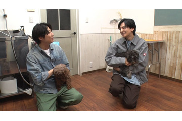 相葉雅紀、“30年来の友人”生田斗真と保護犬トリミング 嵐結成前の思い出話も 画像