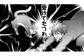【猫視点】また人間が倒れていたけど、今日はいつになく真剣な顔！これは… 勝負ね!!【同居人はひざ、時々、頭のうえ。 #61】 画像