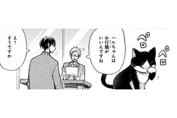 猫と生活していると爪とぎ跡があるはずなのに、見当たらない… どこで爪とぎしているのかな？〈4コマ漫画〉【同居人はひざ、時々、頭のうえ。 #63】 画像