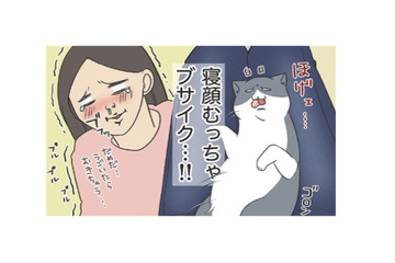 ツンデレだった愛猫が膝に乗ってくれるようになった寝顔むっちゃブサイクでたまらん【おさんぽですし！　おしゃべり犬とイライラ猫の日記 #20】 画像
