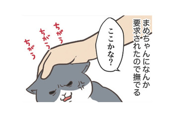 愛猫にねだられ、なでなでタイム。まさか「肉球」を触って欲しいなんてことあるんだ…【おさんぽですし！　おしゃべり犬とイライラ猫の日記 #22】 画像