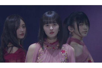 乃木坂46、フェス未配信部分ライブ映像期間限定公開 画像