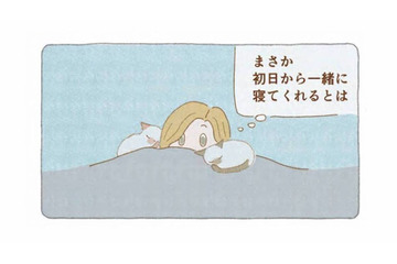 「いてくれるだけでいい」迷い猫たちと一緒に眠った夜から、家族がはじまった【夜が明けるとき猫がそばにいれば #８】 画像