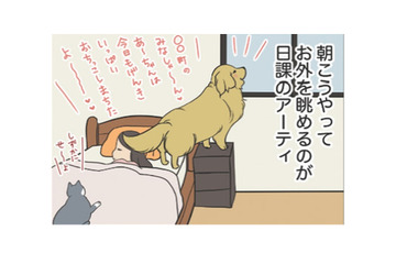 「尻尾ビンタ」町内のみなさんへ朝のご挨拶が日課の愛犬…だけど、なぜそこでやる?!【おさんぽですし！　おしゃべり犬とイライラ猫の日記 #27】 画像