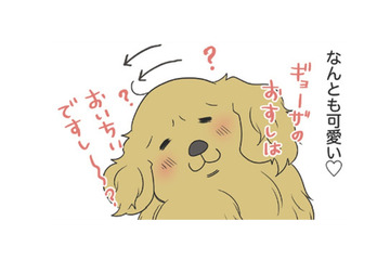 話しかけると一生懸命、聞いてくれる愛犬の仕草が可愛い 一方、愛猫の反応は…?!【おさんぽですし！　おしゃべり犬とイライラ猫の日記 #28】 画像