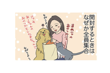 なぜだろう？ネットで購入した服が届くと全員集合。猫は値札タグで暴れ、愛犬は…【おさんぽですし！　おしゃべり犬とイライラ猫の日記 #30】 画像