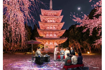 京都の世界遺産で夜桜アートイベント「醍醐花見」3月27日から 醍醐寺が光の桜絵巻に 画像