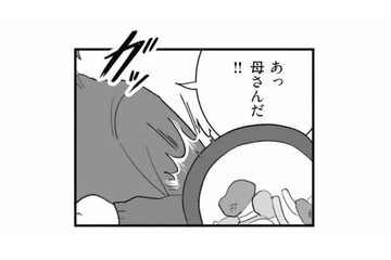 「母さんのはおいしい」嫁の料理はぶちまけ、姑に飛びつくマザコン夫【旦那の浮気を仕掛けた黒幕は姑でした #11】 画像