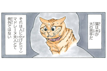 人に化けた「マドレーヌ夫人」猫は水が大の苦手というけど…水嫌いを克服できるのか!?【かのこちゃんとマドレーヌ夫人 #10】 画像
