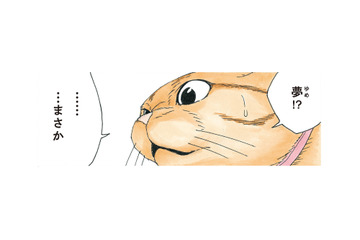 リアルすぎて夢と現実の区別がつかない！「夢のはずない」と語る犬が見た夢とは？【かのこちゃんとマドレーヌ夫人 #11】 画像