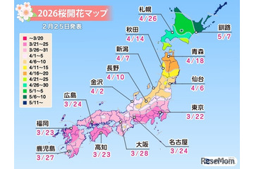 桜開花予想、東京3/22…つぼみ調査で西日本は「先が黄色に」 画像