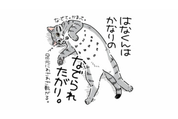 撫でられるのが大好きな猫。なで方をサボった瞬間…態度が急変!?【猫がおしりを向けてきます #３】 画像