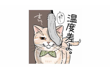 「すんっ…」遊びたい飼い主を華麗にスルーする猫の反応【猫がおしりを向けてきます #６】 画像