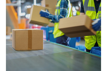 「スポーツのような爽快感」63歳男性の仕事探し。早朝4時、宅配便仕分けに挑戦。ギャルや主婦に混じって汗を流す 画像