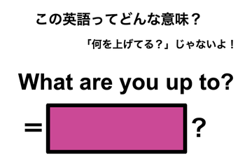 この英語ってどんな意味？「What are you up to?」 画像