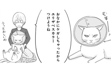 お腹をケガした「ねこまた」。エリザベスカラーをつけた姿を見た小豆とぎは…【ウチの百鬼夜行 #28】 画像