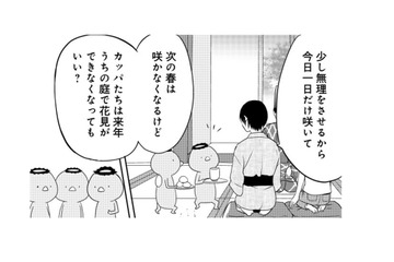 「人間は沢山美しいものを見られていいですな」と羨ましがるセミ。弟は何か思うところがあったみたい…【ウチの百鬼夜行 #30】 画像