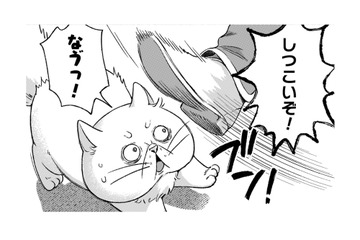 「ぶっさいくな猫だなぁ」神殿に入りたいのに、門番に冷たく追い払われる！【根暗騎士による溺愛満喫中のブサ猫、実は聖女です！#20】 画像