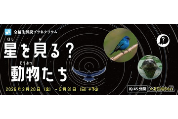 多摩六都科学館、プラネタリウム「星を見る？動物たち」5/31まで 画像