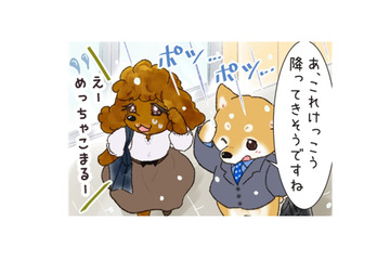 麗しのプードル先輩と一緒に外回り！だけど、雨が降ったあとの彼女は、まるで別人で…？【がんばれ！しばりーまん #７】 画像