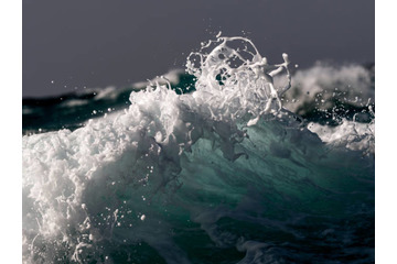 写真家・梶井照陰の展示「NAMI_波」が4月2日よりBOOK AND SONSで開催 画像