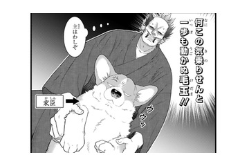 「犬を飼ってやしないだろうね？」大家にバレたら追い出される…この奔放な家臣を守らねば【殿と犬 #３】 画像