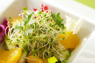 がん予防の権威である医師開発の野菜って！？ビタミンCよりも抗酸化力が長時間続き、老化予防にも最適で「しかもワンコイン以下」スーパーフードとは 画像