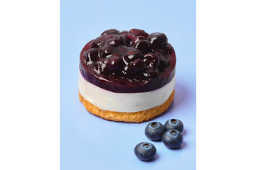 【スタバ日本上陸30周年】春を彩る新作フード5種登場「ブルーベリーレアチーズケーキ」ほか 画像