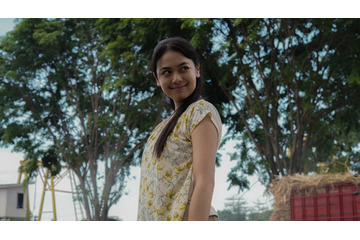 大量の束のサトウキビが迫りくる…『サトウキビは知っている』本編映像＆アザービジュアル 画像