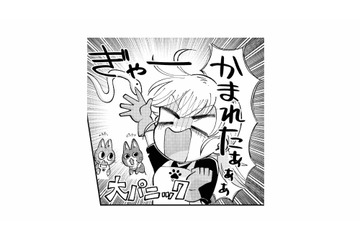 蛇に噛まれて大パニック！逃げられちゃう!? 飼い主のアドバイス通りにしてみると…【家政婦よんだら猫がきた #20】 画像