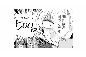 生きたネズミ500匹!? 5日間放置されたラスボス部屋にいざ突撃！【家政婦よんだら猫がきた #21】 画像