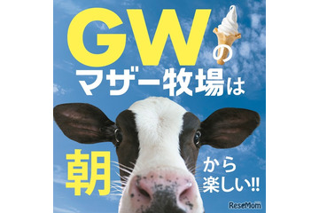 【GW2026】マザー牧場、GWは早朝から開園…羊200頭の大放牧も 画像