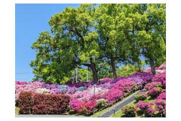 【画像ギャラリー】穀雨のころのヒルトップと「まさかの食材」 画像