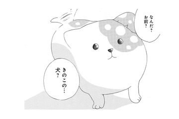 「妖怪？それとも妖精？」きのこの下から現れたのは、犬みたいな謎の生き物だった【きのこいぬ #２】 画像