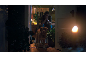 “何か”が見える…犬のインディ、飼い主を守るため奮闘　全編犬視点のホラー映画『GOOD BOY／グッド・ボーイ』特報＆本ポスター 画像