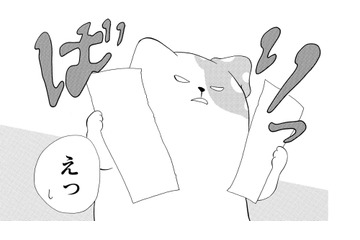 「絵でも描いてるのか？」きのこいぬに原稿を破られる…これじゃ家で仕事ができない【きのこいぬ #16】 画像
