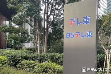 テレ東、前園真聖の負傷事故受け再発防止策を発表 外部法律事務所の協力で8項目の指針策定 画像