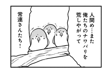 「縄張りを荒らしたな」掃除が気に入らない常連スズメたちが、店の中で大暴れ！【とりきっさ！ #10】 画像