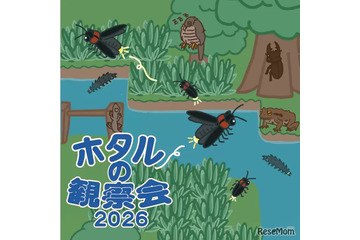 東京・練馬で「ホタルの観察会」6-7月…展示や体験も 画像