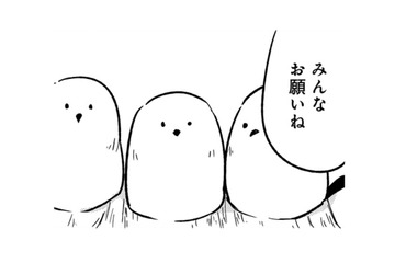 「これくらい、すぐ直せる」一見、可愛いトリビトは、とんでもないポテンシャルの持ち主だった！【とりきっさ！ #22】 画像