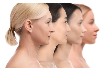 30代から急降下、60代で枯渇する「若返りたんぱく質」。実年齢より若くて美しい芸能人は「多く持っていた」！40代50代からでも増やせる２つの方法は【新潟大学研究教授が解説】 画像