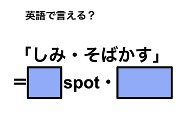 英語で「しみ・そばかす」は何て言う？ 画像
