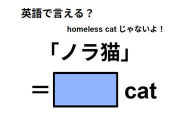 英語で「ノラ猫」は何て言う？ 画像