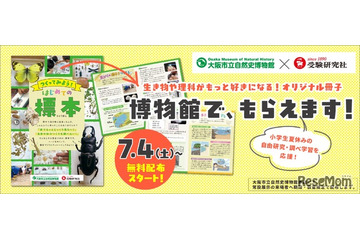 【自由研究2026】植物・貝がら・昆虫の標本づくり冊子を無料配布…大阪市立自然史博物館 画像