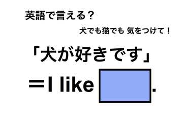 英語で「犬が好きです」は何て言う？ 画像